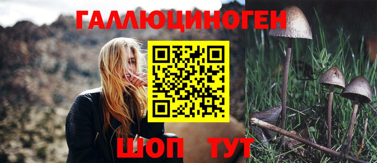 Орск  Псилоцибиновые грибы ЛСД  Вход с VPN 