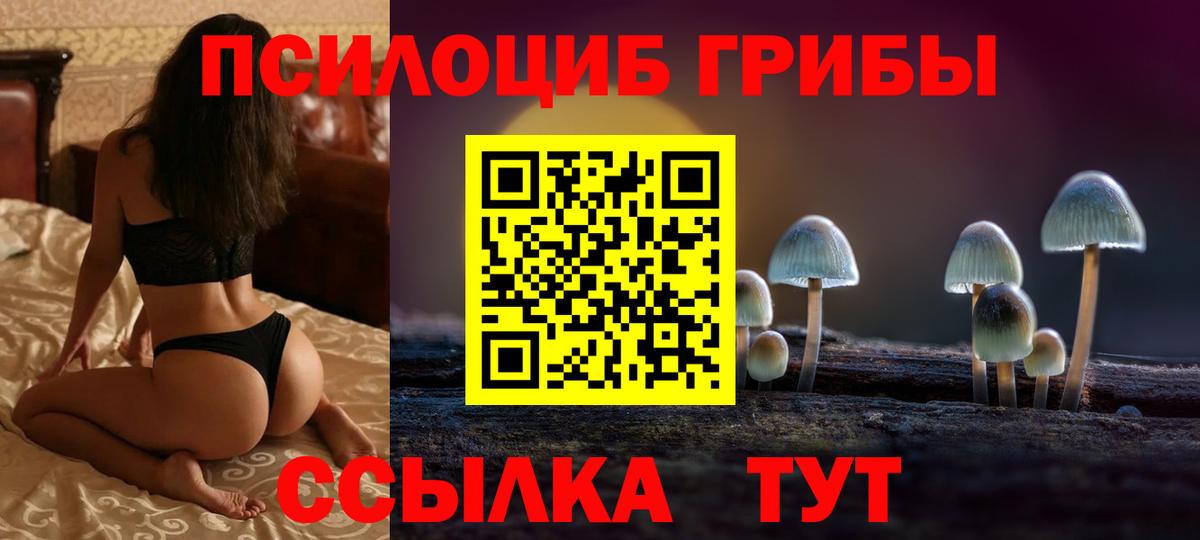 Галлюциногенные грибы Cubensis Орск